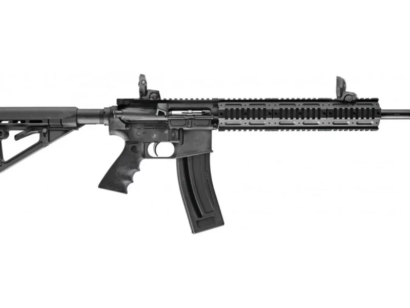CARABINE CHIAPPA M FOUR 22 GEN III 22LR