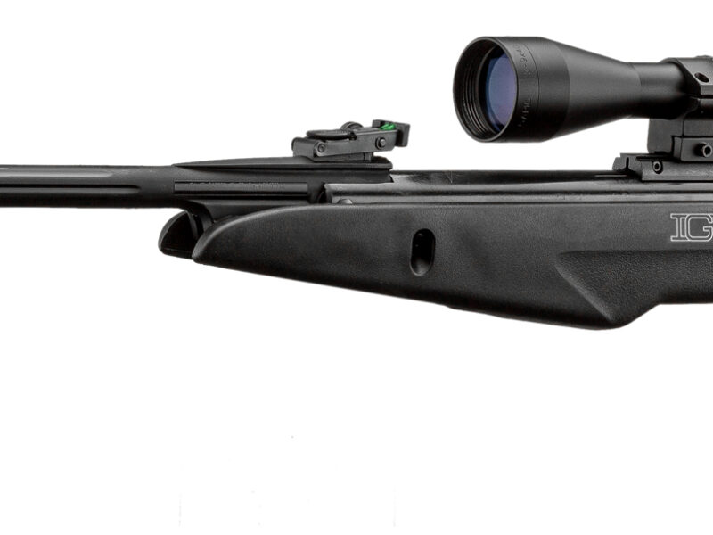 GAMO WHISPER IGT + 3-9X40 WR 19.9 JOULES