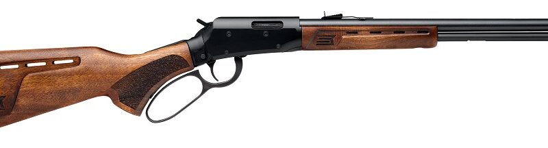 CARABINE SAVAGE REVEL DLX 22LR FILETE 1/2X28